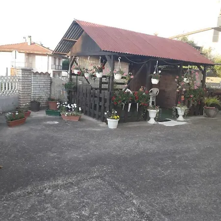 Hrga Daire Pula